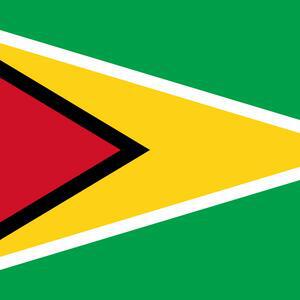 ‘Serious, responsible, credible’ approach to economic management driving Guyana’s growth - Guyana Chronicle