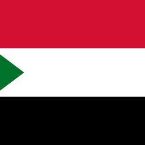 Sudan's Rapid Support Forces unit surrenders to army in Sinjah - Sudan Tribune