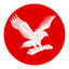 Source Icon