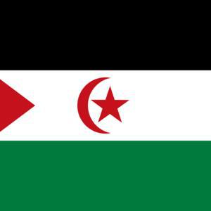 Co-financing campaign: Documentary Western Sahara: "Aminetu"