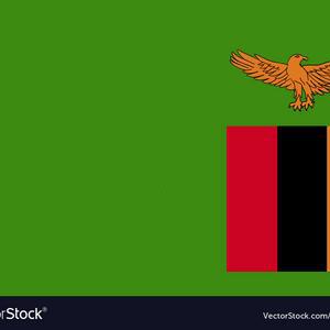 Canadian mineral resource firm GoviEx Uranium advances Zambia project with feasibility study filing