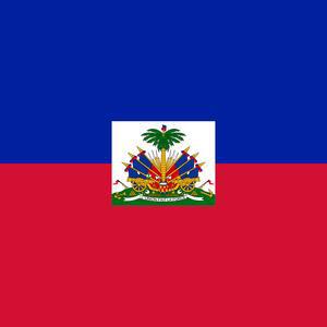 Haitian MSS contradicts rumors of casualties and confirms progress in operations against gangs