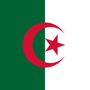 Algeria: Micro-loan and 17 thousand beneficiaries by 2024