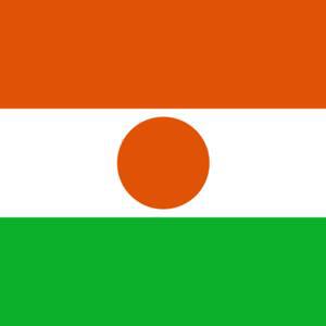 Niger’s Junta Recommends It Remain in Power for Five More Years