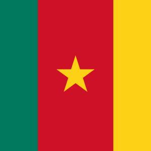 Corruption: BEAC launches audit of recruitment process – Cameroon Intelligence Report