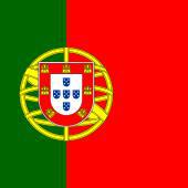 Portuguese unable to heat homes