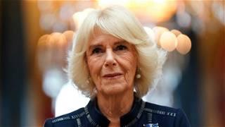 Queen Consort: Camilla makes first public appearance since testing positive for COVID