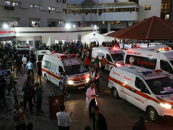 29 Premature Babies Evacuated From Gaza Hospital Arrive In Egypt: Report