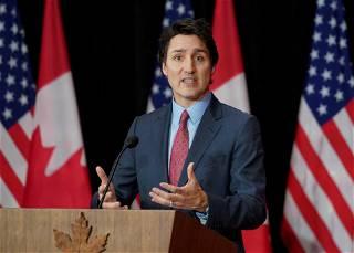 Trudeau says he accepts MP's choice to leave Liberal caucus amid meddling allegations