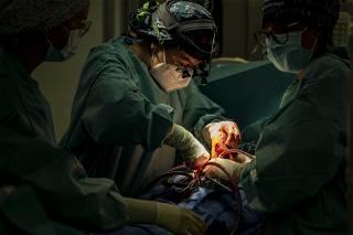 US government announces plan to overhaul organ transplant system