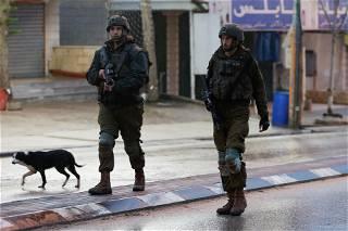 Israeli wounded in occupied West Bank shooting