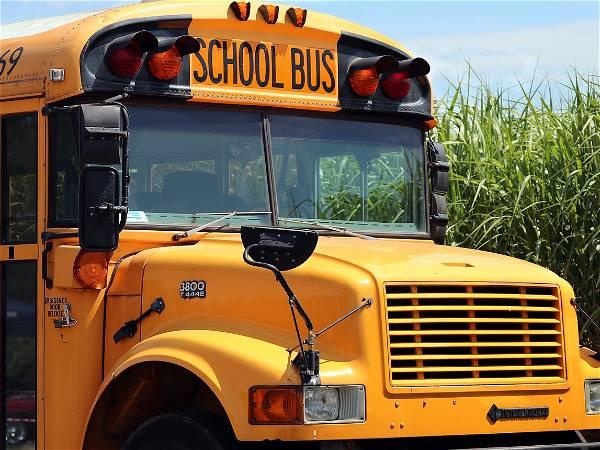 Police officer, school bus driver killed in violent crash north of Woodstock, Ont.