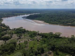 How could four children survive a plane crash in the Amazon? New report offers clues