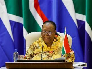 South African Foreign Minister Pandor lauds India's important role in BRICS