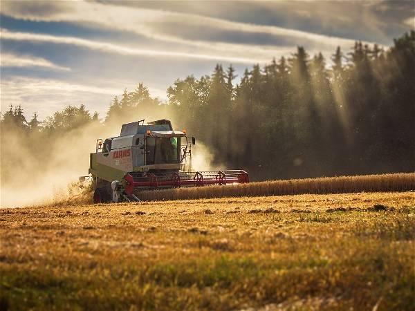 Ukraine to sue three EU countries over grain bans