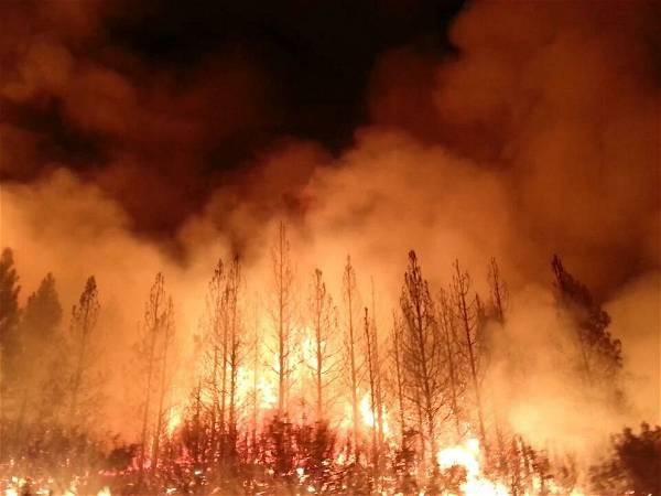 The threat of wildfires is rising. So is new artificial intelligence solutions to fight them