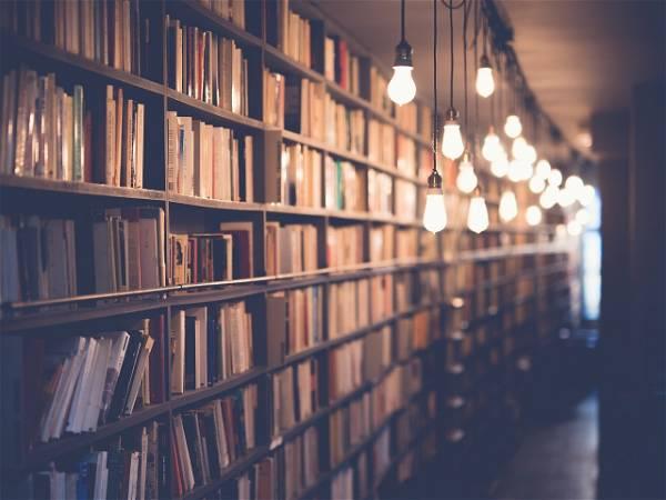 Challenges to library books continue at record pace in 2023, American Library Association reports