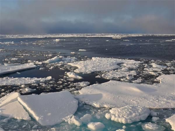 Antarctic sea ice shrinks to lowest annual maximum level on record, data shows