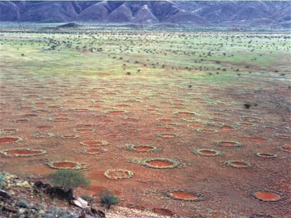Mysterious ‘fairy circles’ identified at hundreds of sites worldwide, new study says