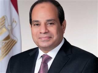 Egypt's President el-Sissi confirms he will run for a new term in upcoming presidential elections