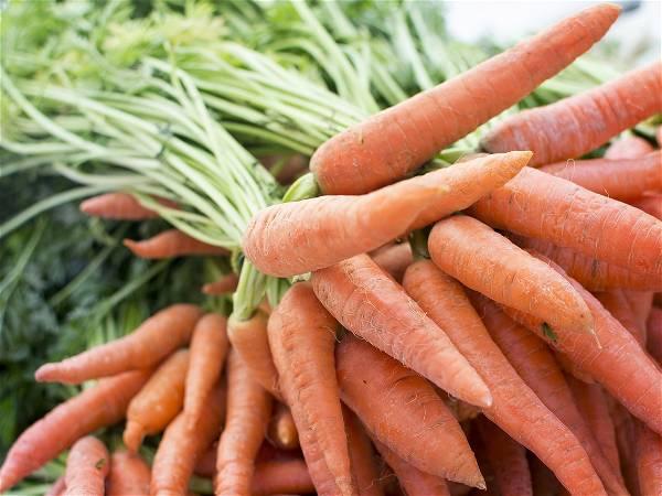 A fight over precious groundwater in a rural California town is rooted in carrots