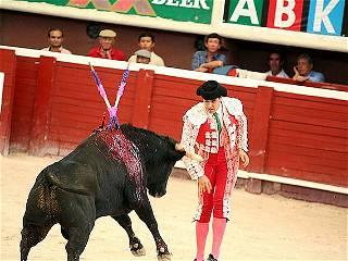 Protests as bullfighting returns to Mexico City