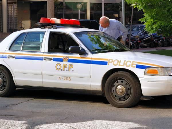 OPP says U.S. Homeland Security involved in 'record-breaking' weapons investigation in Ontario