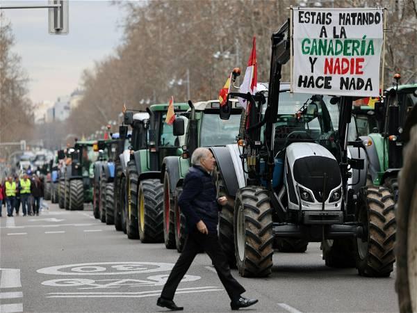 Thousands of farmers advance on Madrid for major tractor protest over EU policies