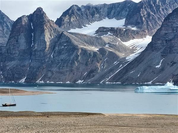 Greenland's ice sheet is melting -- and being replaced by vegetation
