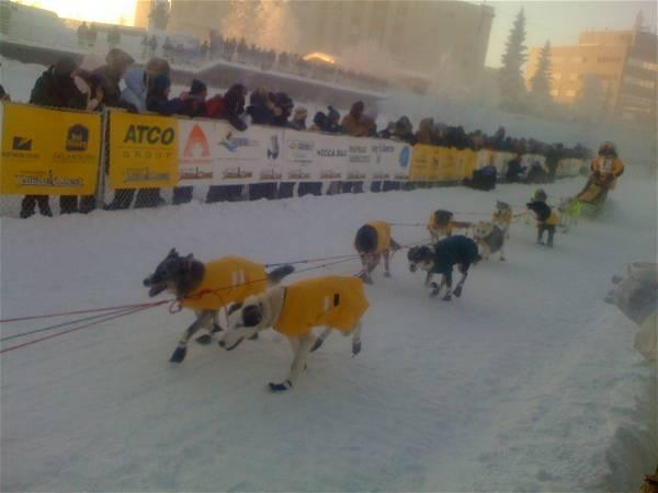 Lack of snow cancels longest sled dog race in eastern United States