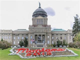 Trump backs Sheehy in Montana Senate race