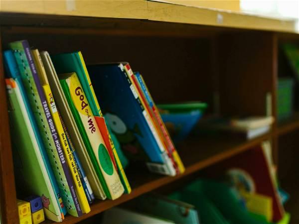 Georgia Senate considers controls on school libraries and criminal charges for librarians