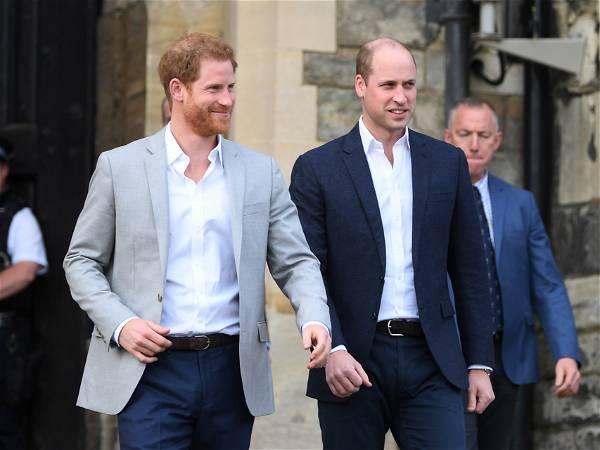 Prince Harry Has 'No Plans' to Reunite with Brother Prince William During U.K. Visit, Says Source
