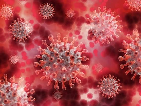 Norovirus cases continue to climb in the US, especially in the Northeast, CDC data shows