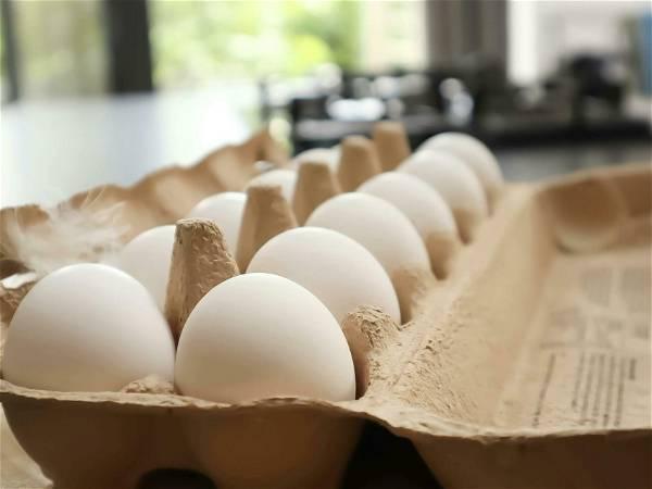 Bird flu, weather and inflation conspire to keep egg prices near historic highs for Easter