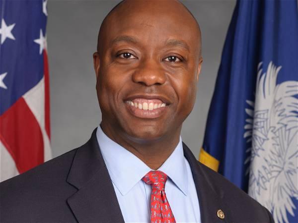 Tim Scott: ‘No doubt’ RFK Jr. on ballot would ‘bleed votes from the Democrats’