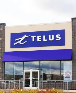 Young Canadian workers feel isolated and lonely, TELUS Health finds