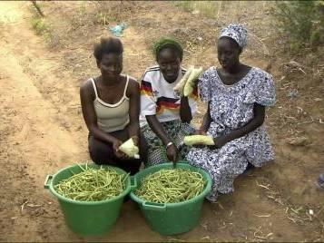 'Women farmers are invisible': A West African project helps them claim their rights