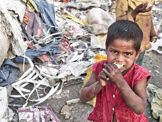 783 million people face chronic hunger. Yet the world wastes 19% of its food, UN says