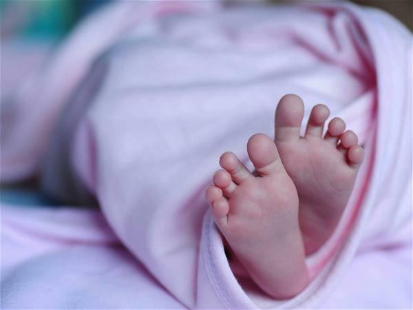 Births fall in Italy for 15th year running to record low