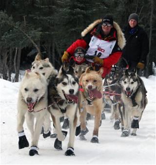 2 dogs die during 1,000-mile Iditarod, prompting call from PETA to end the race across Alaska