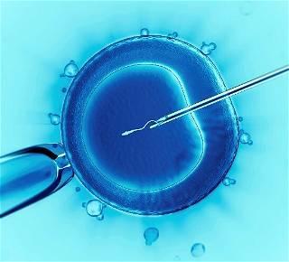 Alabama hospital to stop IVF treatments at the end of 2024 due to ‘litigation concerns’