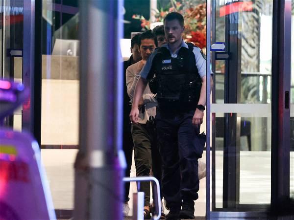 Sydney attacker had mental health issues, says family