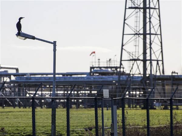 Groningen gas field in Netherlands to shut down as Senate approves law