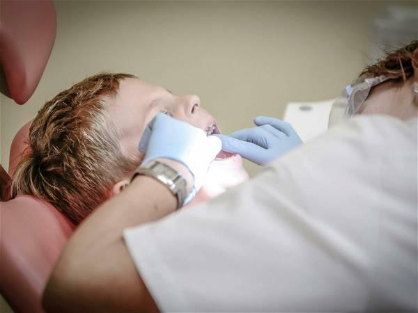 Health minister pitches dental-care changes to get dentists onside