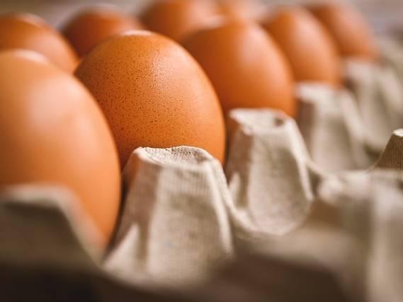The largest fresh egg producer in the US has found bird flu in chickens at a Texas plant