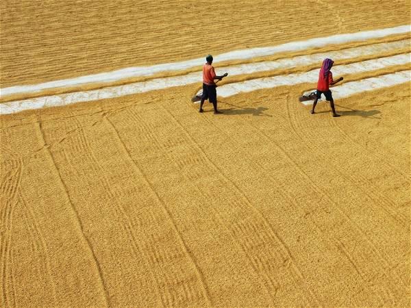 UN labor agency report warns of rising threat of excess heat, climate change on world’s workers