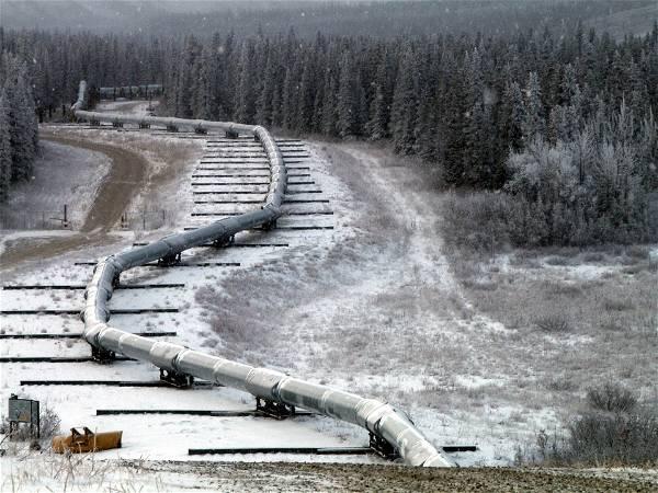 Biden administration restricts oil and gas leasing in Alaska's petroleum reserve