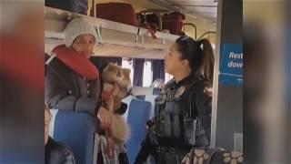 Women, dog kicked off Amtrak train in viral video