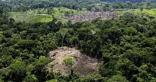 Germany pledges $222 million for Brazil environment, Amazon